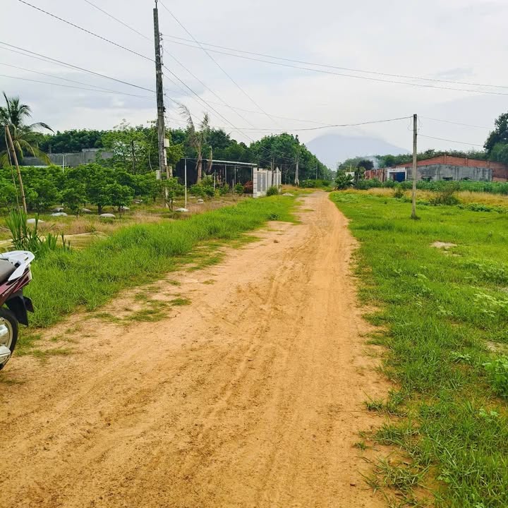 Đất nền Phường Ninh Sơn, Tây Ninh 127m² giá 200 triệu - Cơ hội đầu tư hấp dẫn!