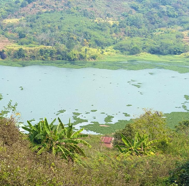 Đất thổ cư 1,4ha Đinh Lạc, Di Linh - Giá chỉ 1.4 tỷ, ô tô vào tận nơi!