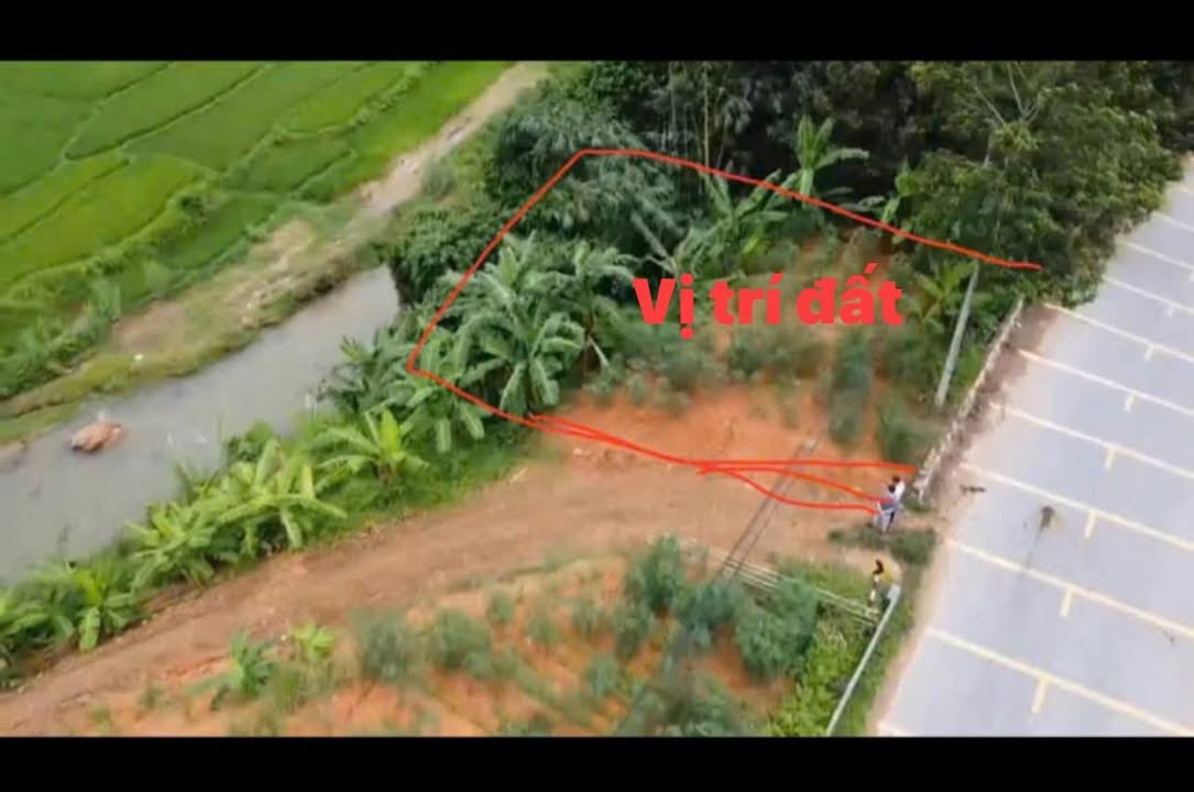 Đất thổ cư 136m² tại Tân Sơn, Phú Thọ - Giá chỉ 400 triệu, đầu tư sinh lời cao!