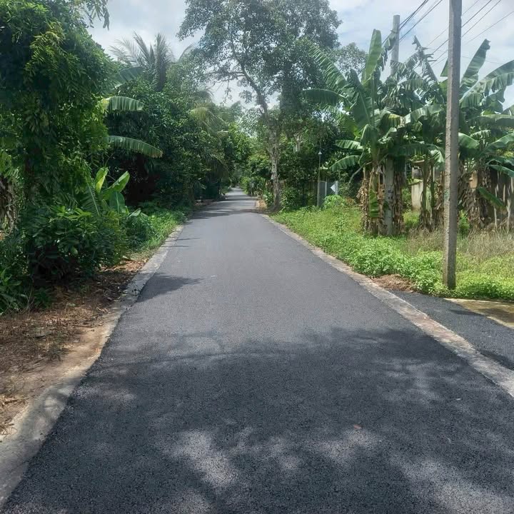 Đất nền đường Cái Môn, Phường Mỹ Phú, 175m² giá 920 triệu - Đầu tư sinh lời ngay!