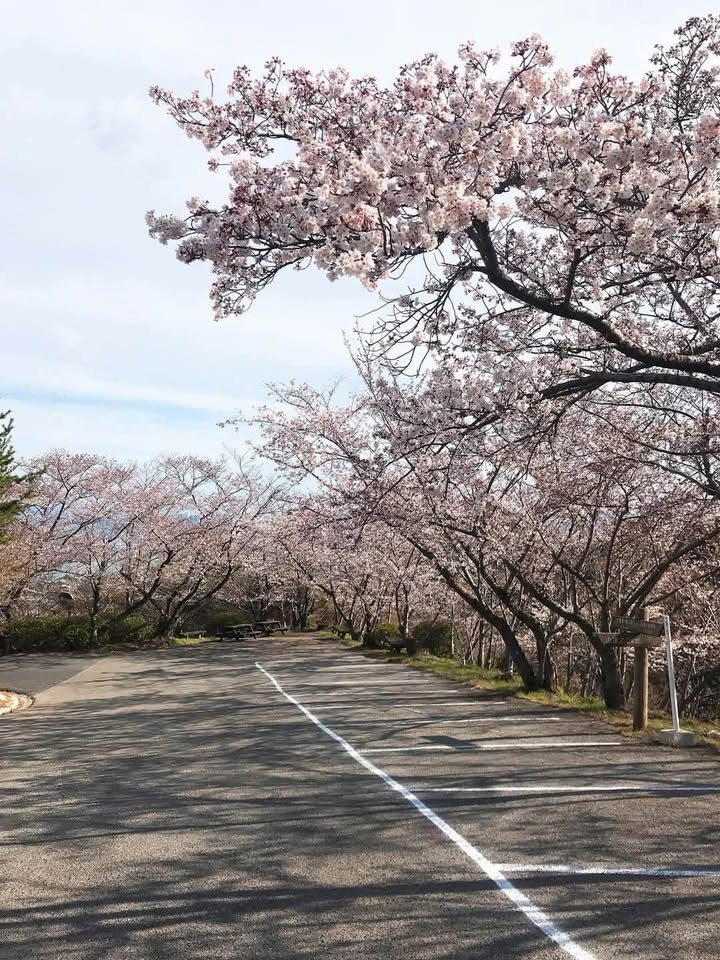 Nhà mặt đường Lê Lợi, Hải Phòng 83m² giá 21.3 tỷ - Kinh doanh thuận lợi!