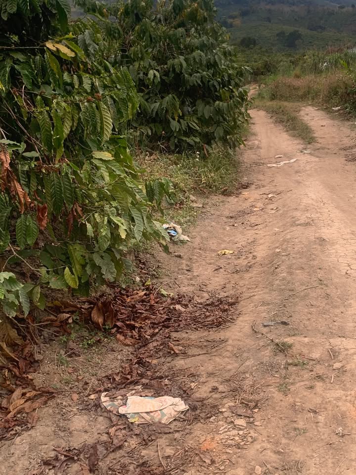 Đất nền 8 sào tại xã Đông Thanh, Lâm Hà - Giá chỉ 2.4 tỷ - Đầu tư ngay!