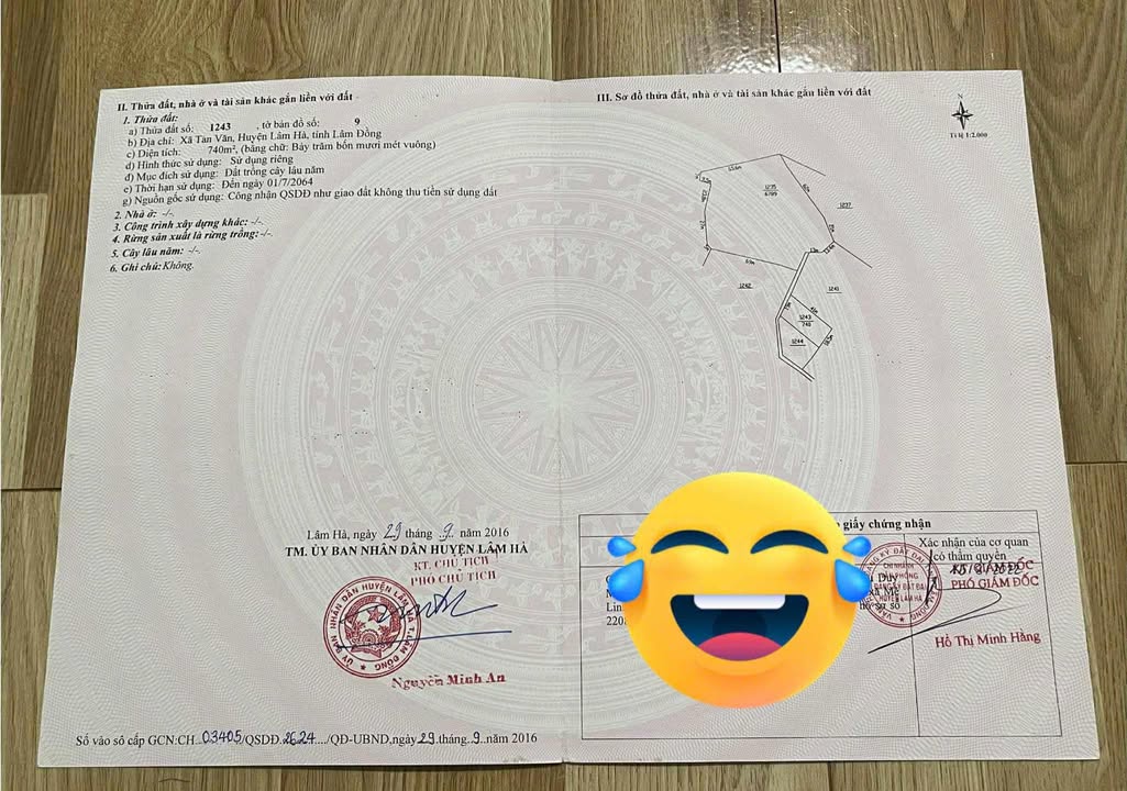 Đất nền 700m² xã Đinh Văn Lâm Hà giá 400 triệu - Cơ hội đầu tư hiếm có!