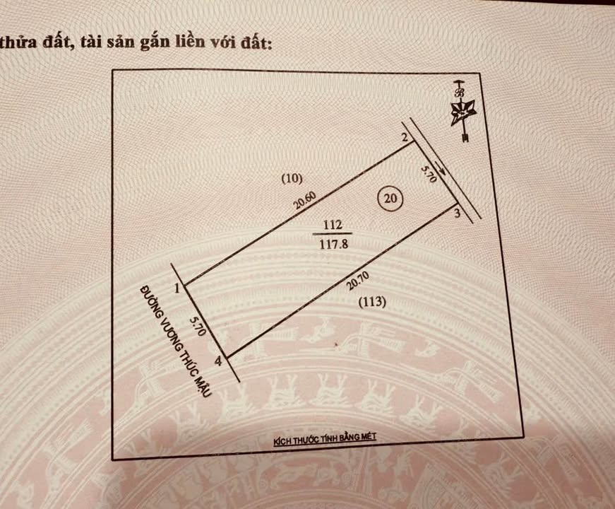 Đất mặt đường Vương Thúc Mậu, Vinh 117m² - Vị trí đắc địa, tiềm năng tăng giá cao!
