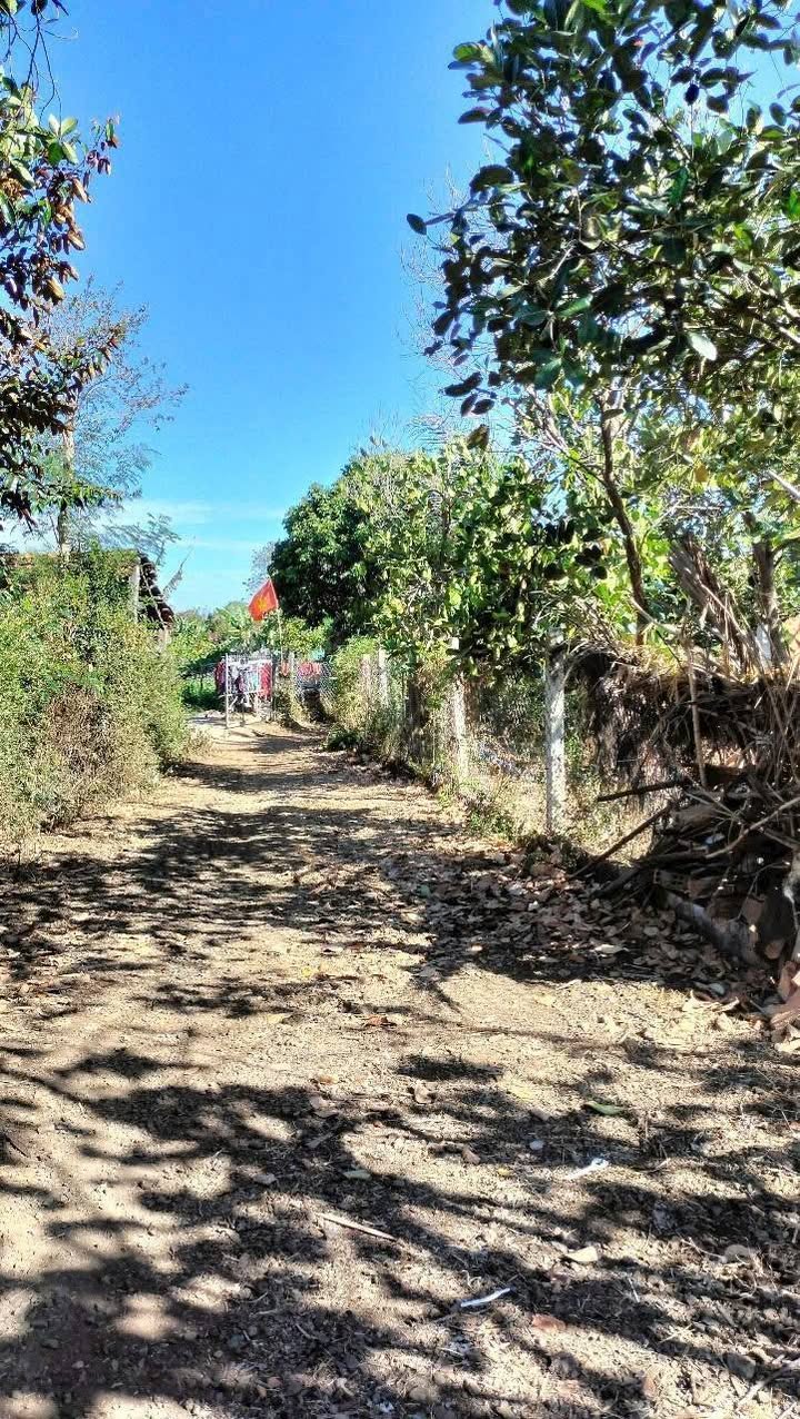 Đất vườn mini Xã Ea Bar 160m² giá 1.15 tỷ - Vị trí đẹp, sổ đỏ chính chủ!