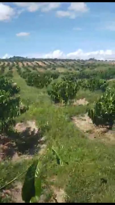 Đất nền 1.5ha tại Xã Đăk Tơ Ver, Huyện Chư Păh, Gia Lai - Giá chỉ 1.7 tỷ!