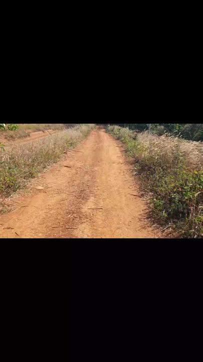 Farm cà phê 1ha tại xã Ia O, giá thỏa thuận - Cơ hội đầu tư hấp dẫn!