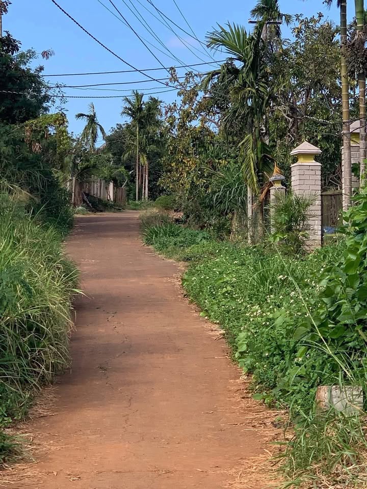 Đất thổ cư Dliê Yang, Ea H'leo 1200m² giá 849 triệu - View suối thơ mộng!