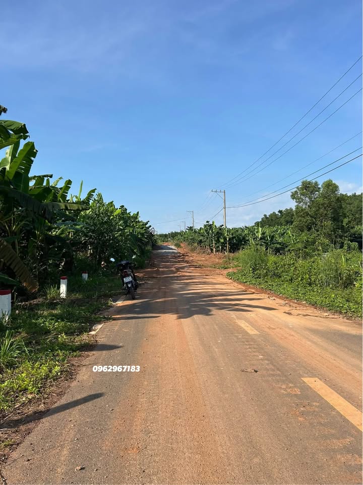 Đất vườn Đồng Nai 1.200m² giá 995 triệu - View Hồ Trị An tuyệt đẹp!