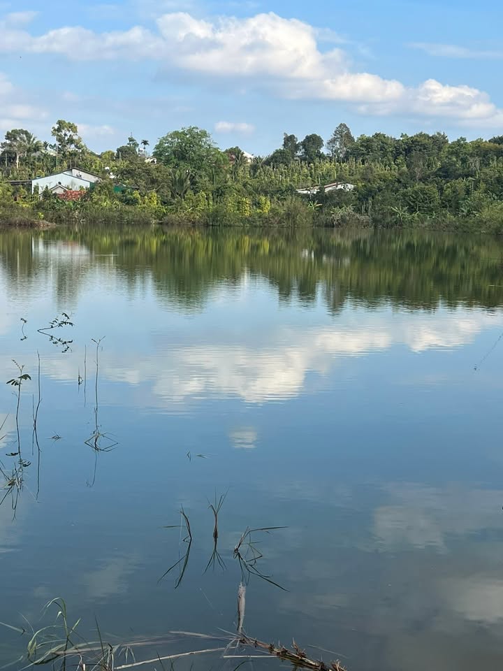 Đất nền 2 mặt tiền đường bê tông tại Đắk Mil 1440m² giá 1.65 tỷ - Nằm ngay giữa khu dân cư!