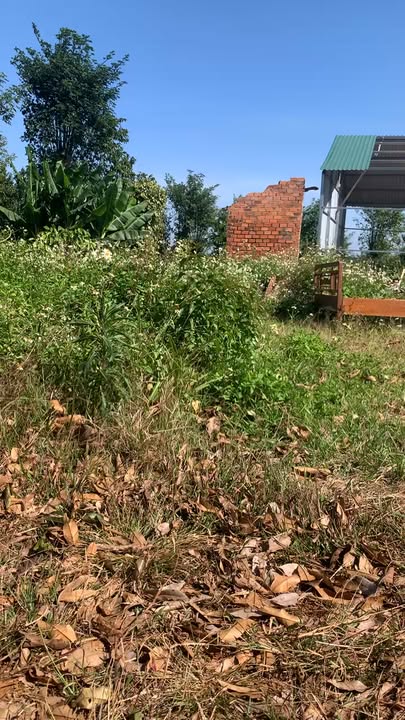 Đất nền 8.000m² Xã Thuận Hạnh - Giá 1.3 tỷ - Gần trường Lương Thế Vinh!