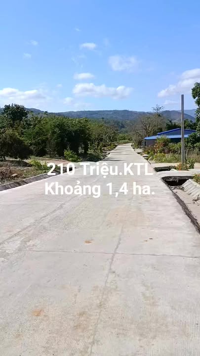 Bán gấp 1,4 ha đất nông nghiệp tại Thôn 4, Xã Ea H'leo - Giá chỉ 210 triệu!