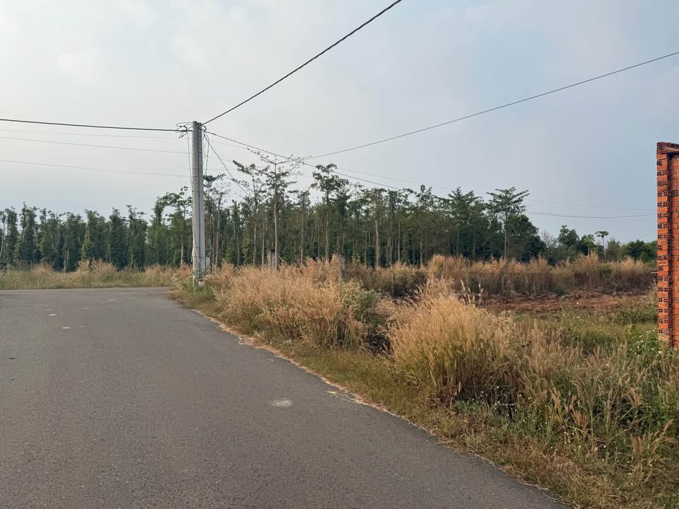 Đất nền 20.000m² xã Đá Bạc - Giá chỉ 14 tỷ, cơ hội đầu tư sinh lời!