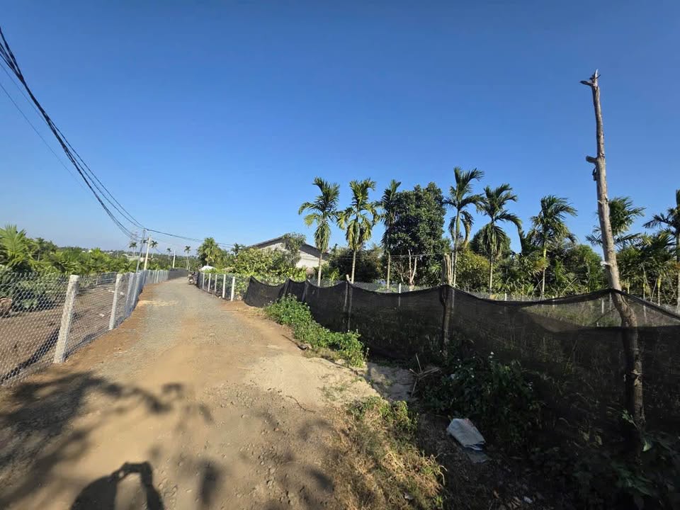 Đất thổ cư Hòa Thắng Comleo 10x50 - Giá chỉ 1.35 tỷ, cơ hội đầu tư tốt!