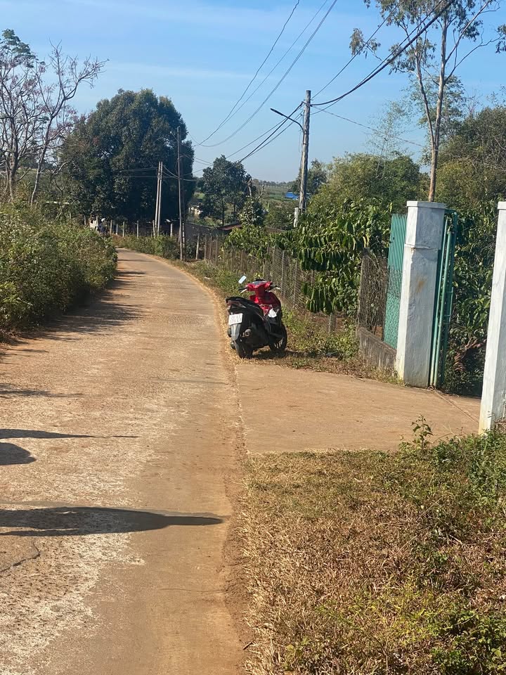 Đất nền khu vực An Phú, Pleiku 195m² giá chỉ 300 triệu - Cơ hội đầu tư hấp dẫn!