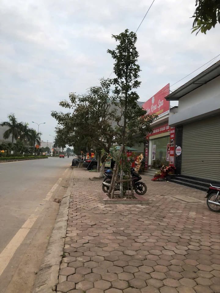 Nhà cho thuê khu đô thị An Huy Cao Thượng - 115m², giá thỏa thuận - Vị trí trung tâm đắc địa!