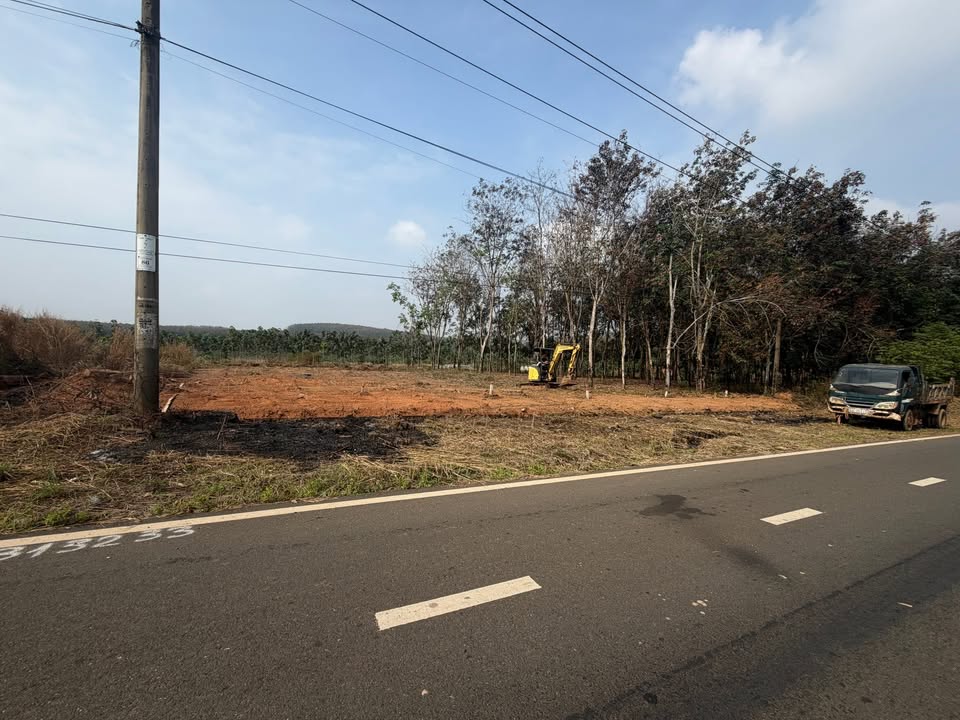 Đất nền dự án đầu tay tại Long Tân, Phú Riềng 200m² giá chỉ 500 triệu - Cơ hội đầu tư hấp dẫn!