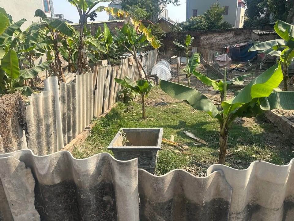 Đất nền Xuân Lễ, Tân Minh, Sóc Sơn 82.5m² giá 2 tỷ - Đầu tư tiềm năng!