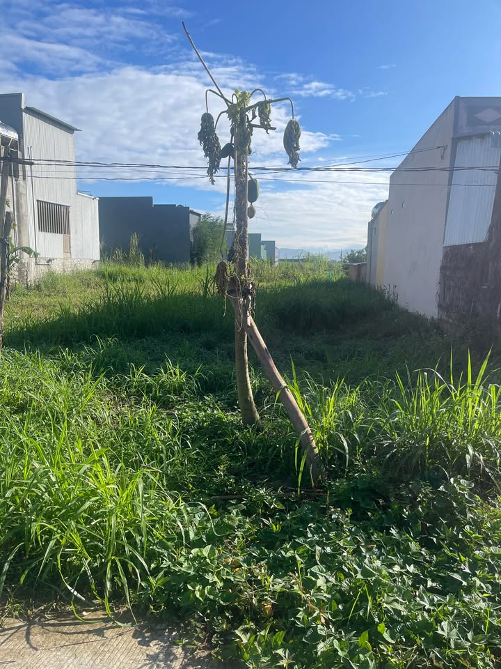 Lô đất 350m² tại An Quý, Đăk Pơ - Tiềm năng phát triển mạnh mẽ!