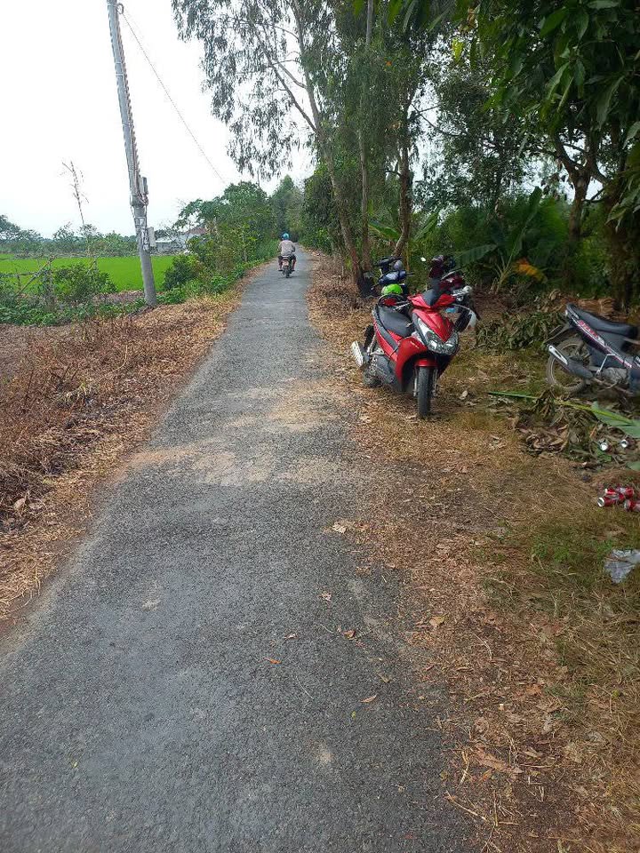 Đất lúa 750m² tại Phường Mỹ Trà - Giá chỉ 460 triệu, cơ hội đầu tư lý tưởng!