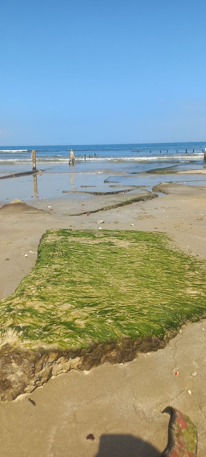 Đất KDL Đảo Bàn Than, Tam Hải, Núi Thành 120m² giá 1.05 tỷ - Cơ hội đầu tư lý tưởng!