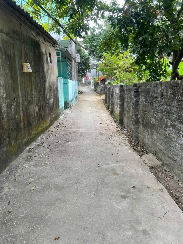 Lô đất đẹp TDP 6, An Tường 177m² giá 3.1 tỷ - Đầu tư sinh lời tốt!