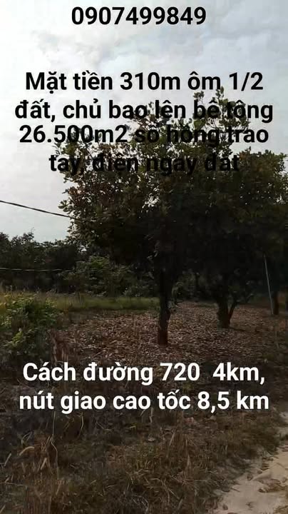 Đất nền 26.500m² xã Tân Minh, Lâm Đồng giá 4.05 tỷ - Sổ hồng trao tay, ô tô vào tận nơi!