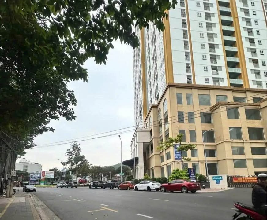 Đất bán Mặt Tiền Võ Thị Sáu, Vũng Tàu 316m² giá 45 tỷ - Kinh doanh sầm uất!