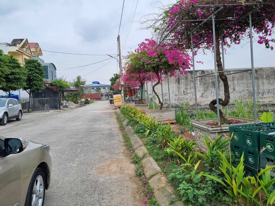 Đất nền tại ngõ Trần Quang Khải, Ninh Bình 100m² - Tiềm năng phát triển lớn!