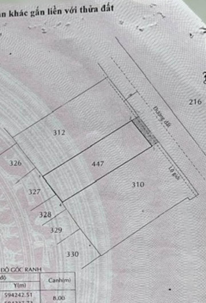Đất nền Hóc Môn 200m² giá 9 tỷ - Cơ hội đầu tư hấp dẫn!