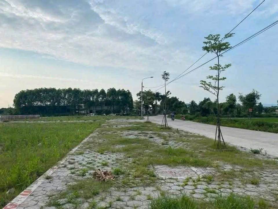 Đất đấu giá Quảng Tân, Nam Sách 100m² giá 1.6 tỷ - Vị trí kinh doanh lý tưởng!