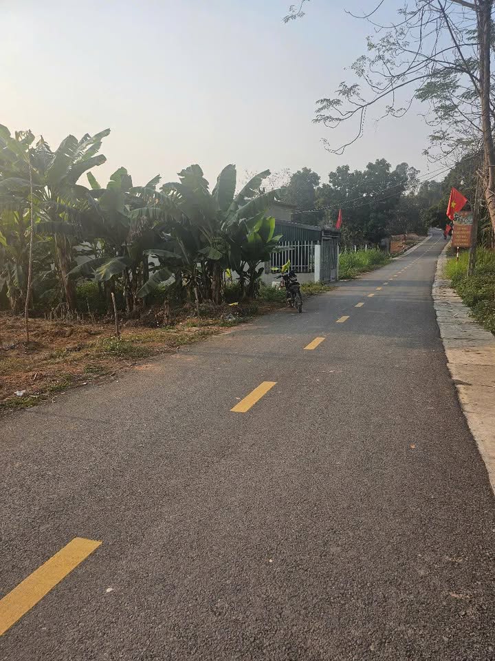 Đất nền 156m² tại xã Hy Cương - Giá chỉ 1.6 tỷ - Sổ hồng chính chủ!