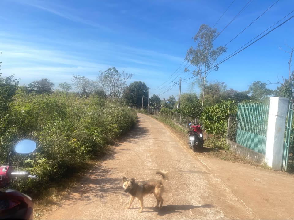 Đất nền An Phú, Pleiku 195m² giá chỉ 300 triệu - Cơ hội đầu tư tuyệt vời!