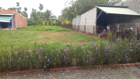 Đất thổ cư 260m² tại An Tịnh, Trảng Bàng chỉ 600 triệu - Cơ hội đầu tư tuyệt vời!