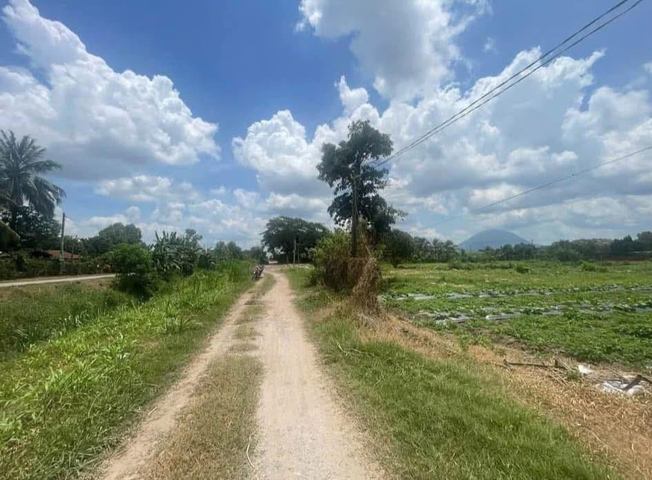 Đất nền Phường Long Thành Bắc, Tây Ninh 300m² - Giá 498 triệu, vị trí đẹp gần chùa Tòa Thánh!