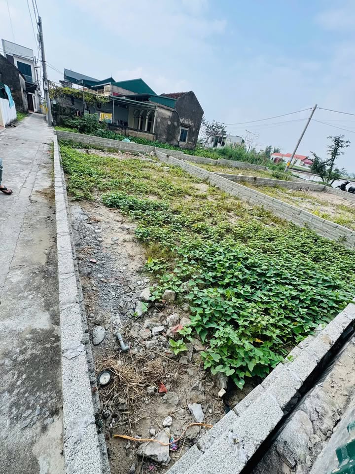 Đất nền Tiểu khu Đông Đoài, Phú Xuyên 54m² giá 1.6 tỷ - Đầu tư sinh lời ngay!