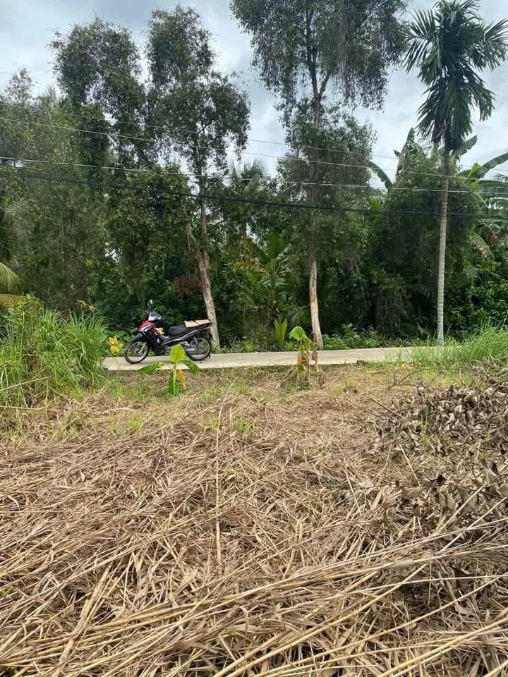 Đất ở P5 TP Tân An 115m² giá 750 triệu - Đường ô tô vào tận nơi!