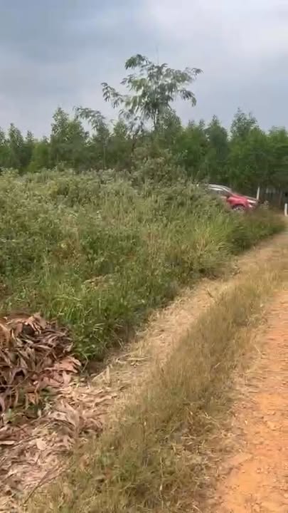 Đất nền Sông Phan, Hàm Tân 1063m² giá 600 triệu - Đầu tư sinh lời ngay!