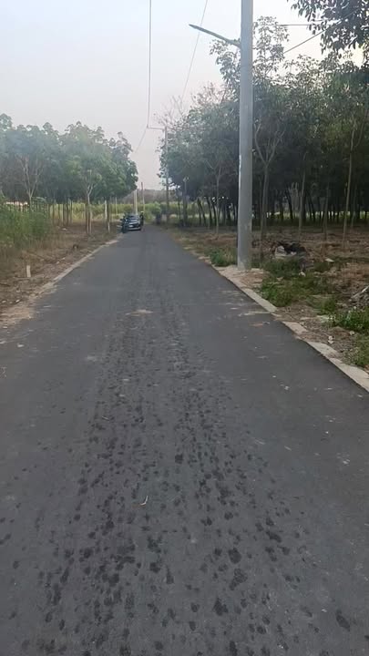 Đất nền Minh Tân, Huyện Bình Chánh, 3000m² giá 440 triệu - Cơ hội đầu tư hiếm có!