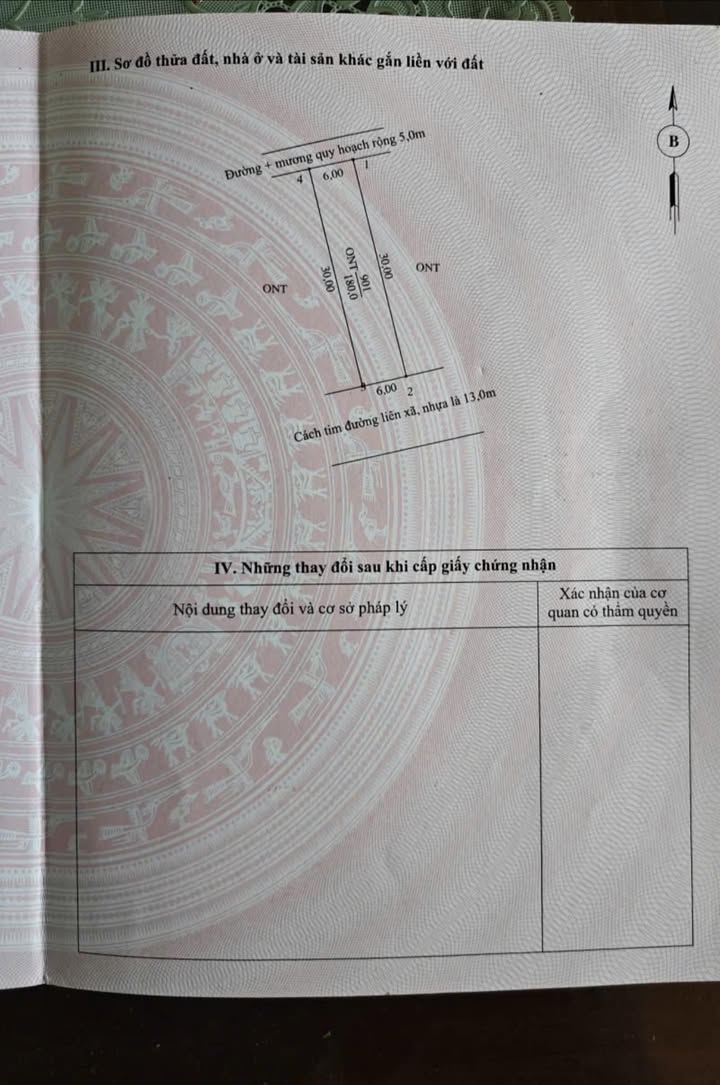 Lô đất Thọ Ngọc 180m² giá chỉ 9xx triệu - Đầu tư sinh lời ngay!