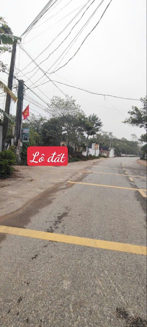 Đất chính chủ 2 mặt tiền đường TL309 Tam Dương 100m² - Kinh doanh buôn bán sầm uất!