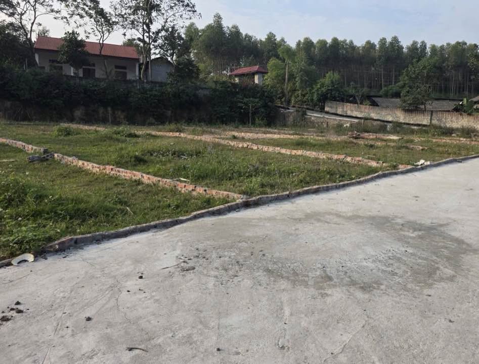 Đất thổ cư 106m² tại Đại Đình, Tam Đảo - Chỉ 300 triệu, đầu tư sinh lời!