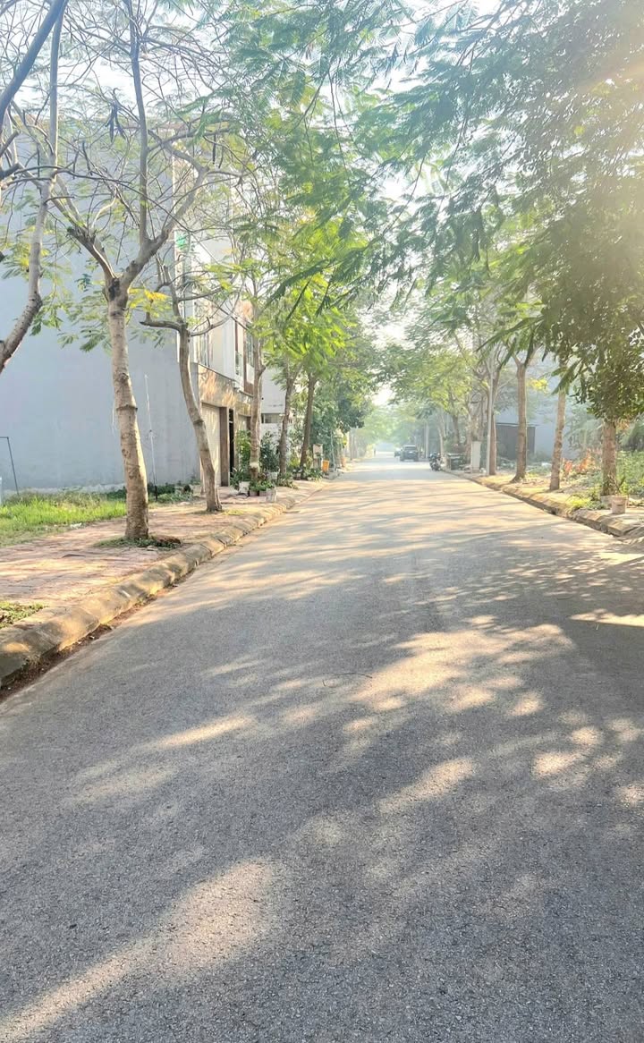 Lô đất Nam Đầm Vạc Vĩnh Yên 104m² giá chỉ 3.xx tỷ - Cơ hội đầu tư hấp dẫn!