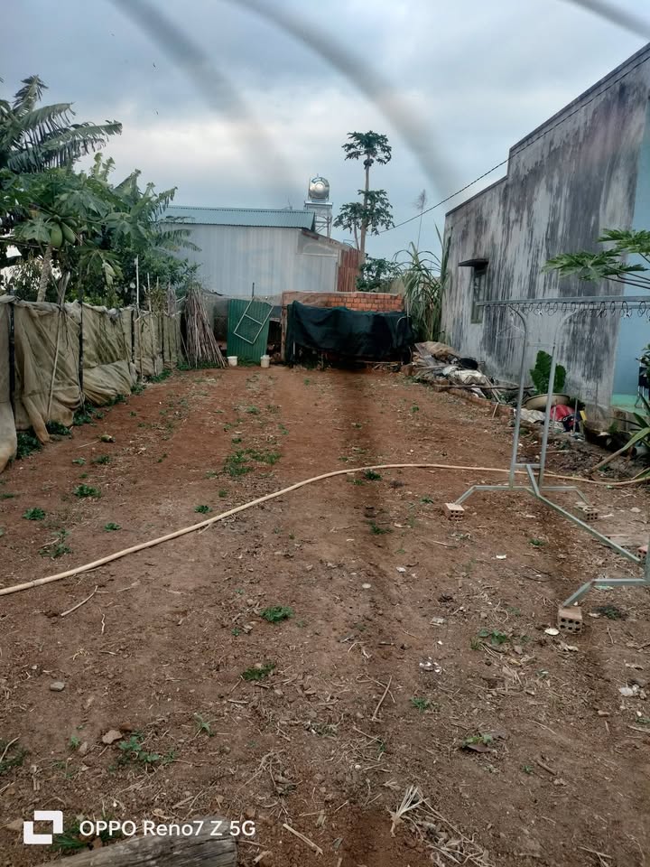 Đất nền tại Nam Hiệp, Đơn Dương 200m² giá 600 triệu - Cơ hội đầu tư tuyệt vời!