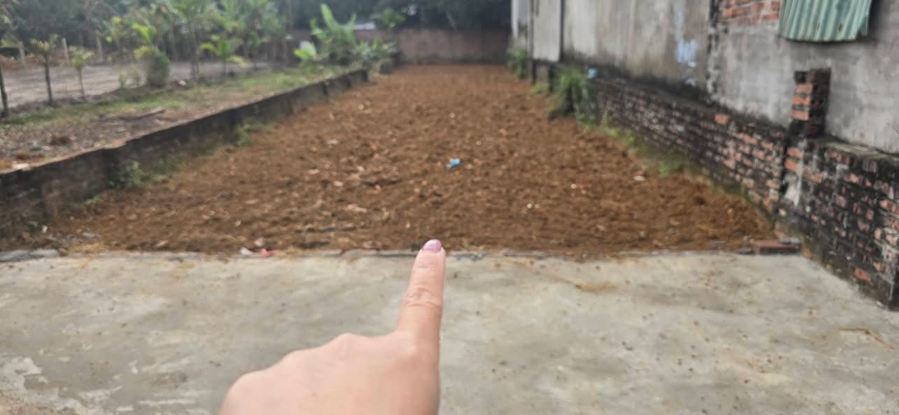 Đất nền thôn 5 Phú Cát 164m² giá chỉ 4.92 tỷ - Chính chủ bán gấp!