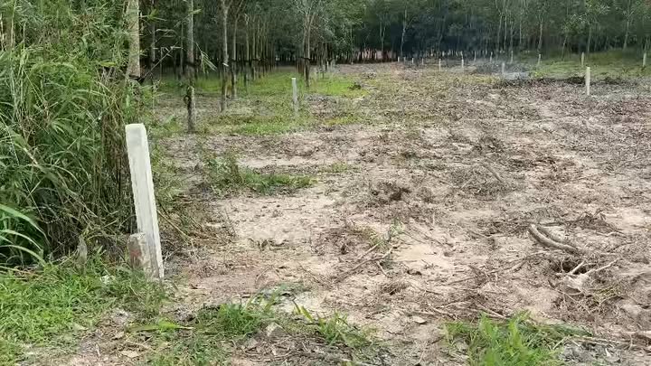 Đất nền 850m² tại Hảo Đước, Tây Ninh giá 290 triệu - Cơ hội đầu tư tuyệt vời!