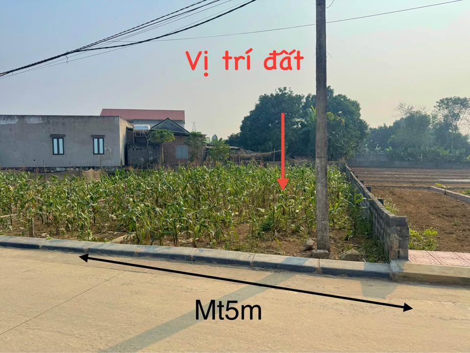 Đất nền 128m² xã Nhuận Trạch, Huyện Lương Sơn, giá 1.x tỷ - Cơ hội đầu tư hấp dẫn!