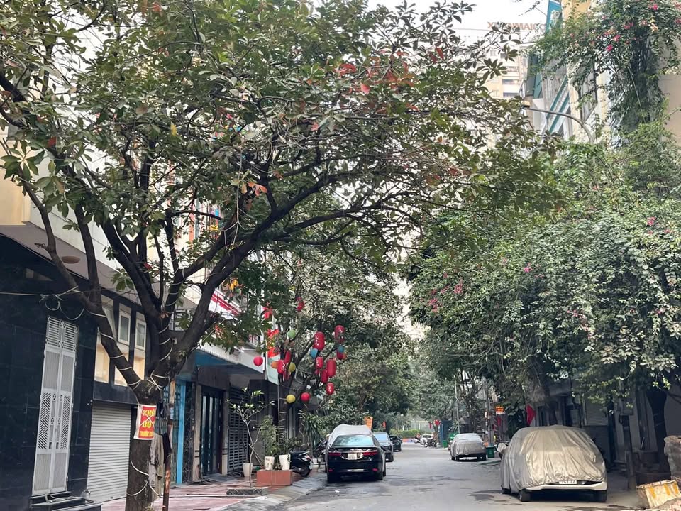 Đất nền đấu giá Ngô Thì Nhậm Hà Đông 48m² - Cơ hội đầu tư hiếm có!