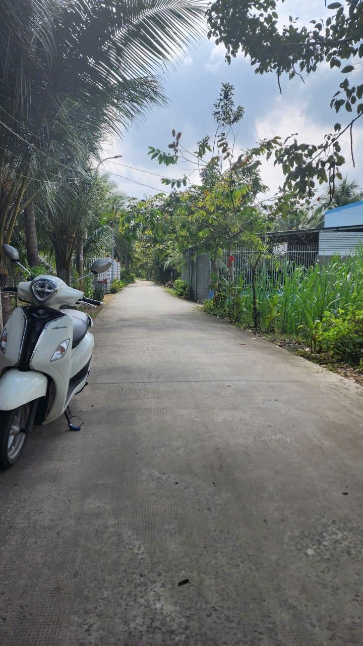 Đất nền mặt tiền đường Liên xã Nhơn Thạnh Phú Nhuận 121.35m² giá 525 triệu - Cơ hội đầu tư hấp dẫn!