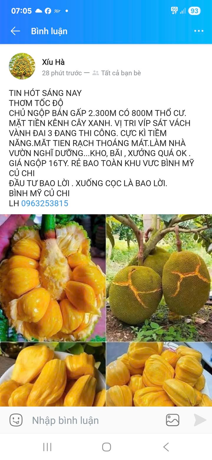 Đất nền Bình Mỹ Củ Chi 2300m² giá 16 tỷ - Cơ hội đầu tư đầy tiềm năng!